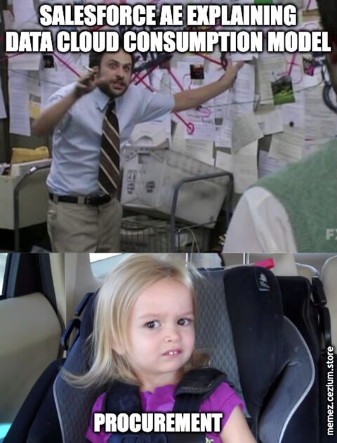 The Salesforce AE frantically explaining the Data Cloud consumption model. Procurement, strapped into the car seat, remains stonefaced.