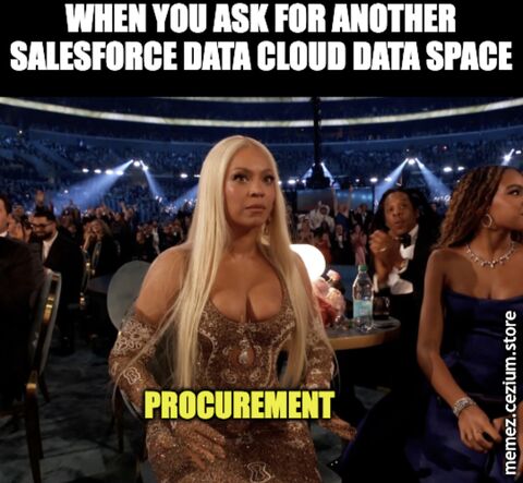 Procurement staring blankly like Beyoncé in the Grammys audience when you ask for yet another Data Cloud Data Space.
