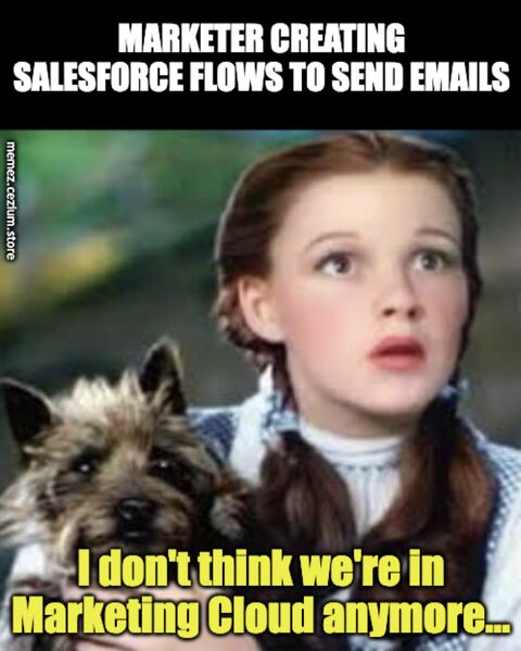 Marketer building Salesforce Flows to send emails, looking at Toto: 'I don't think we're in Marketing Cloud anymore.'