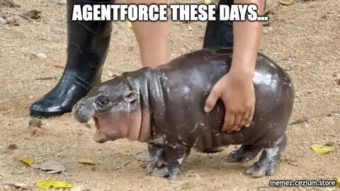 A chubby, bewildered-looking Moo Deng baby hippo — Agentforce, these days.