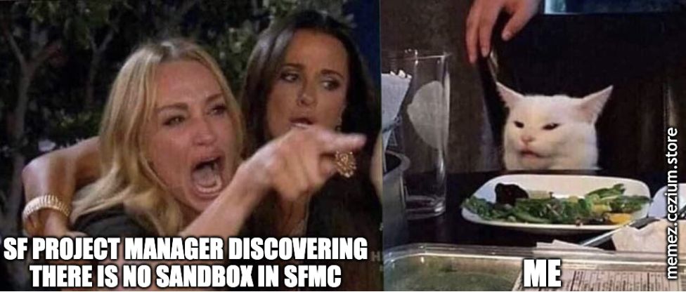 Cat gleefully knocking things off the SFMC sandbox