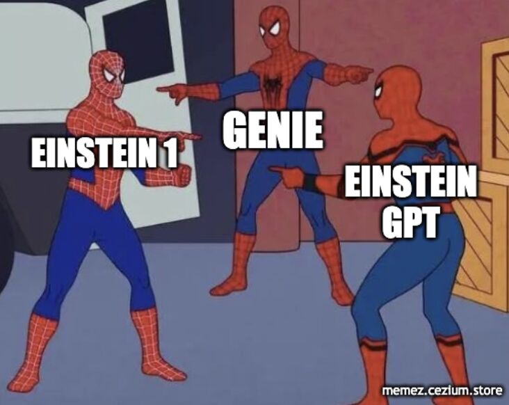 Into the Spiderverse meme with every Einstein SKU variant
