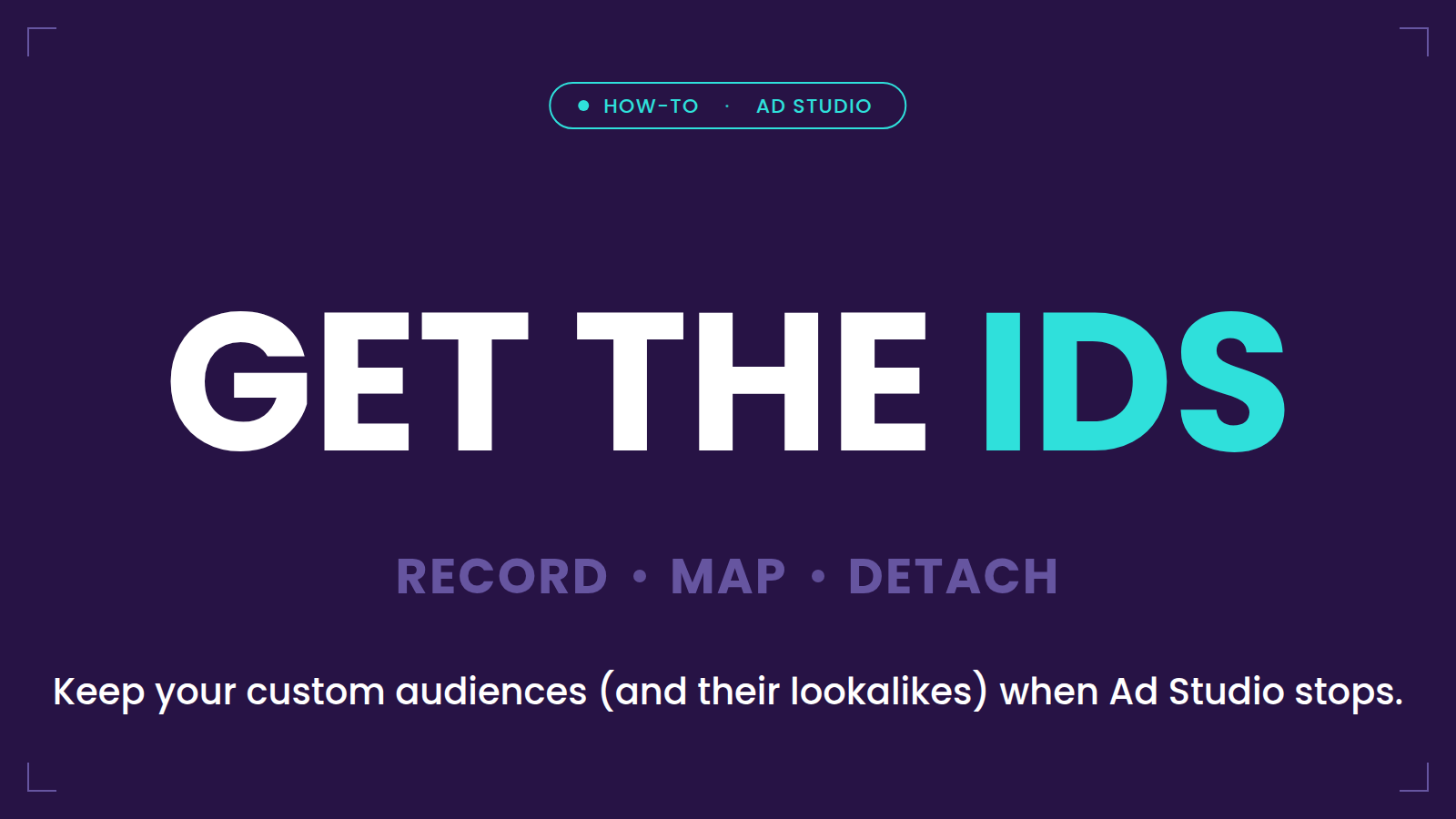 Get the IDs — keep your custom audiences and their lookalikes when Ad Studio stops: record, map, detach