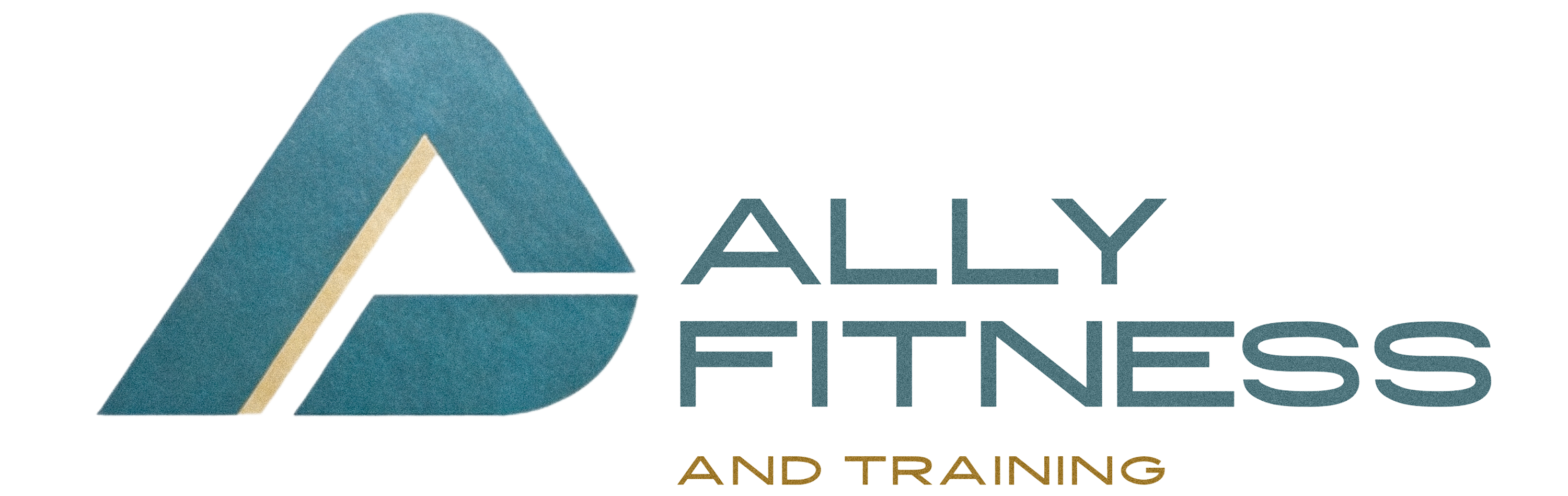 Ally Fitness and Training