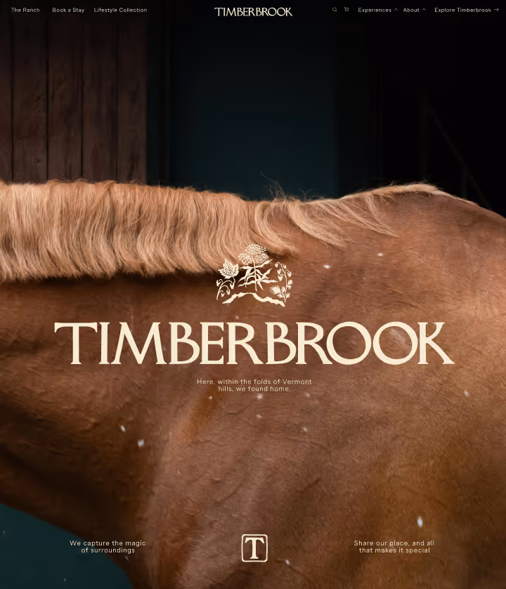 Close-up side view of a brown horse with a light mane against a dark background with Timberbrook text overlay.
