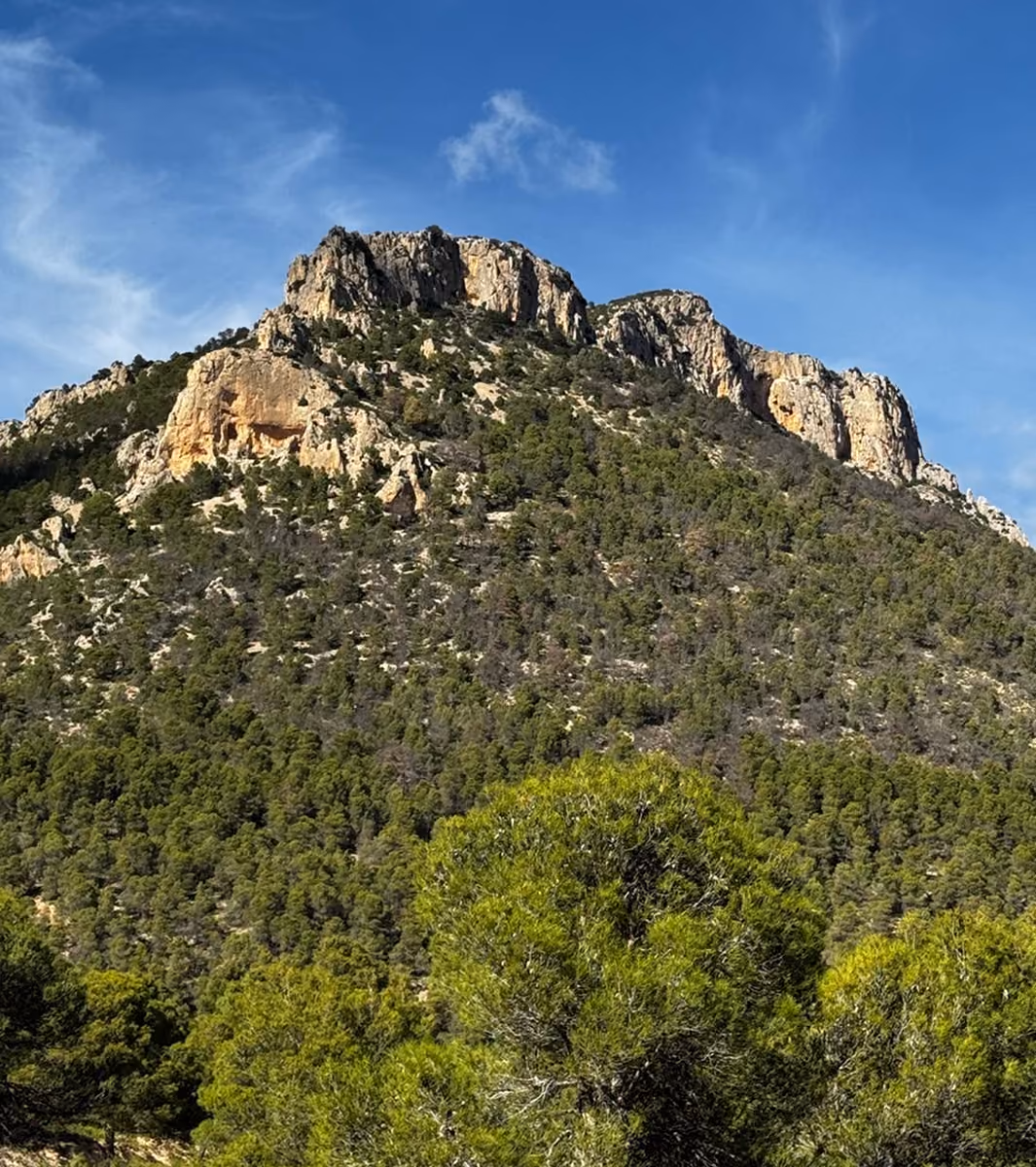 Beboste bergtop in de vallei van El Cimbre bij Lorca