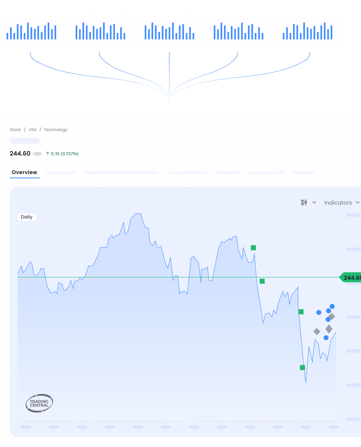 Stock price graph showing a fluctuating trend with a current price of 244.60 USD in technology sector.
