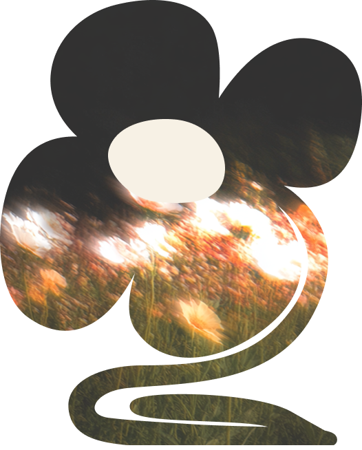 Silhouette of a stylized flower with a curved stem filled with a blurred field of wildflowers in sunlight.