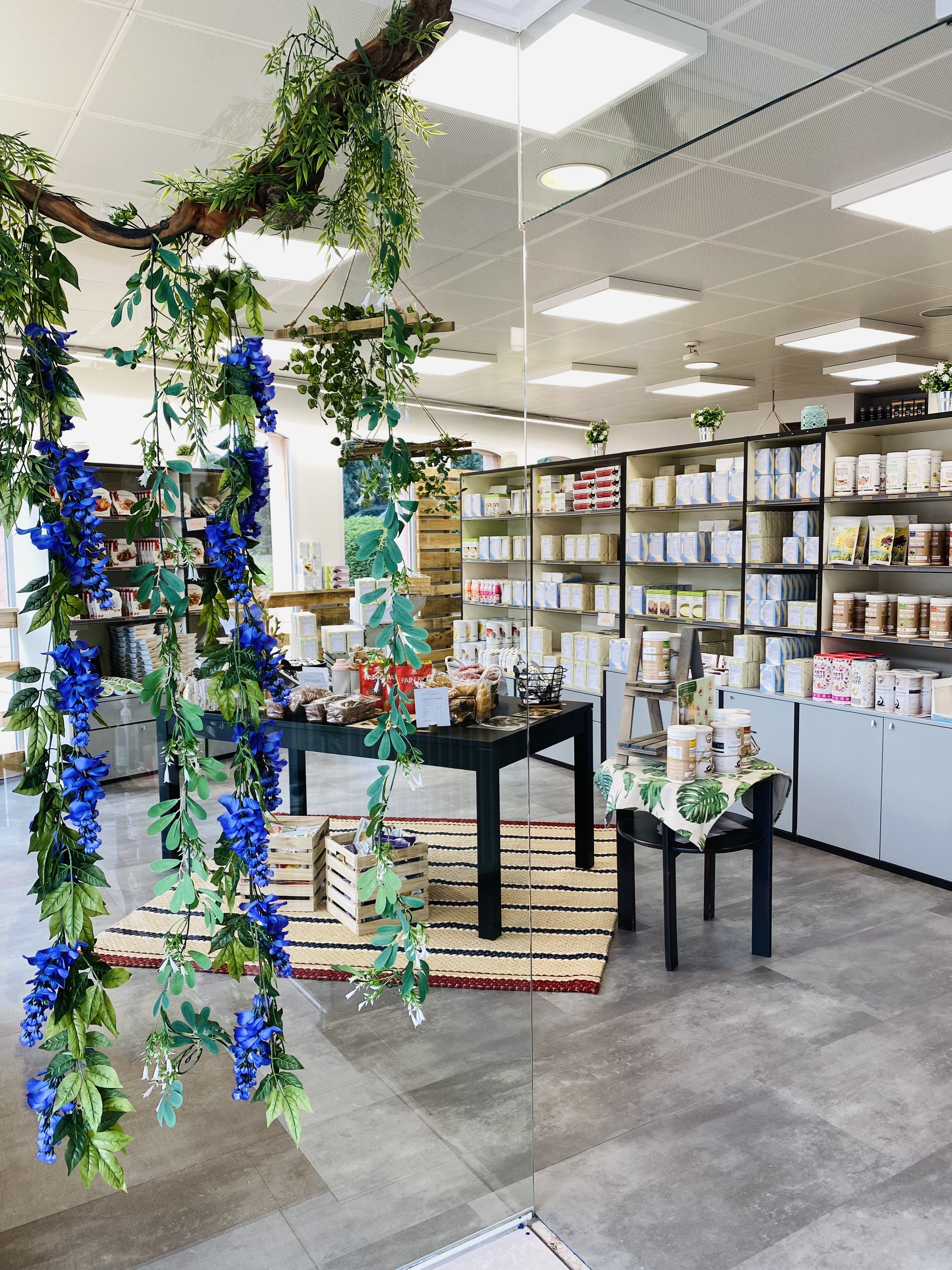 Bright store interior with shelves stocked with products, hanging plants, and display tables with items.