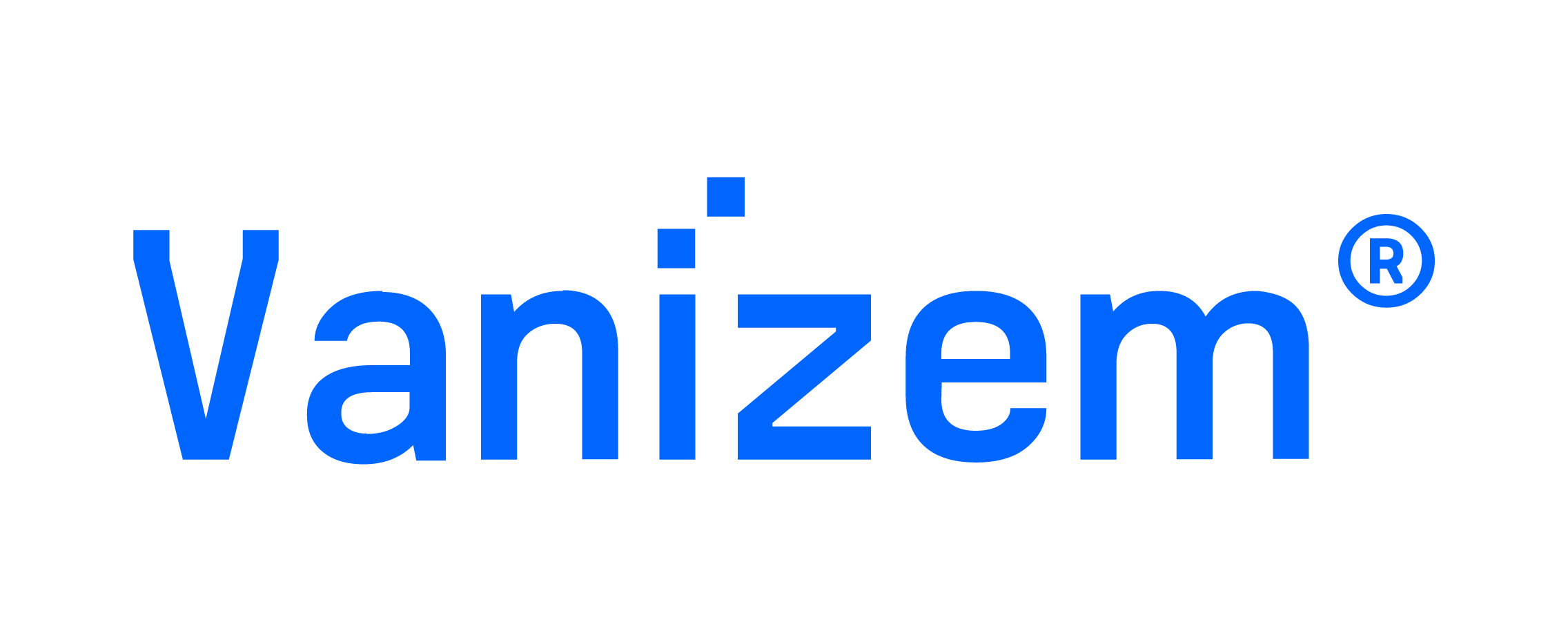 Vanizem brand name in bold blue letters with a registered trademark symbol on a white background.