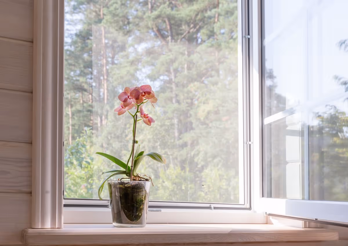 Choisir une solution discrète