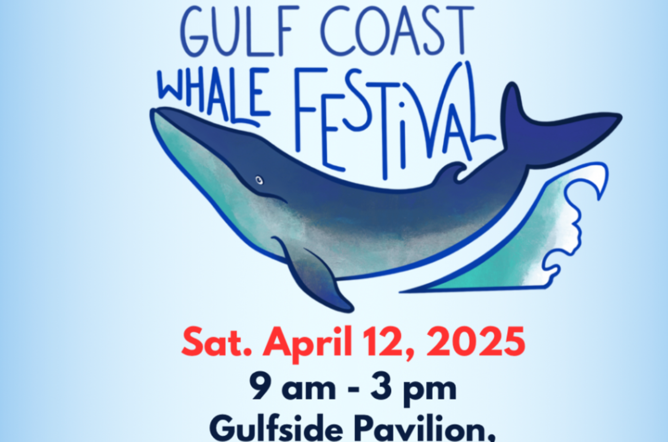 Gulf Coast Whale Festival