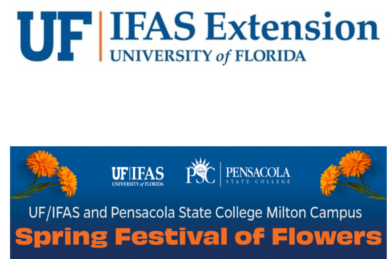 Spring Festival of Flowers