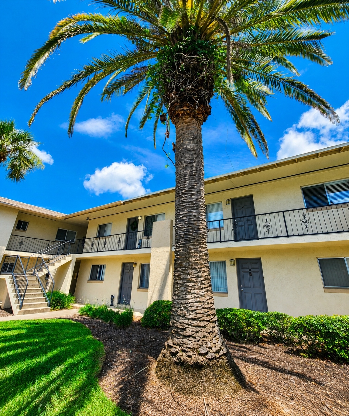 exterior of property 