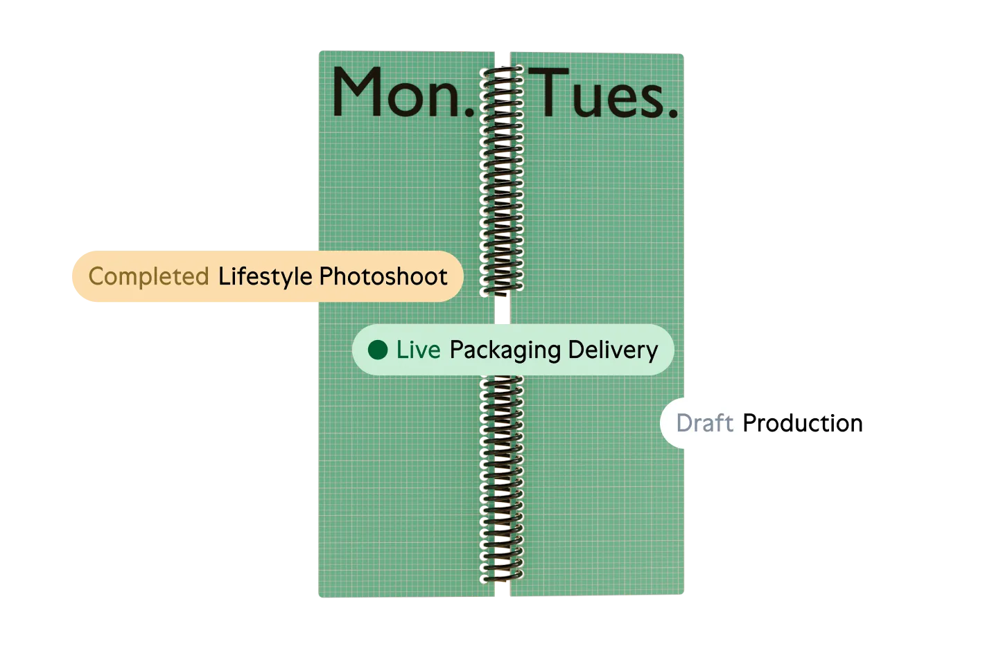 Open planner showing Monday and Tuesday with sticky notes labeled Completed Lifestyle Photoshoot, Live Packaging Delivery, and Draft Production.