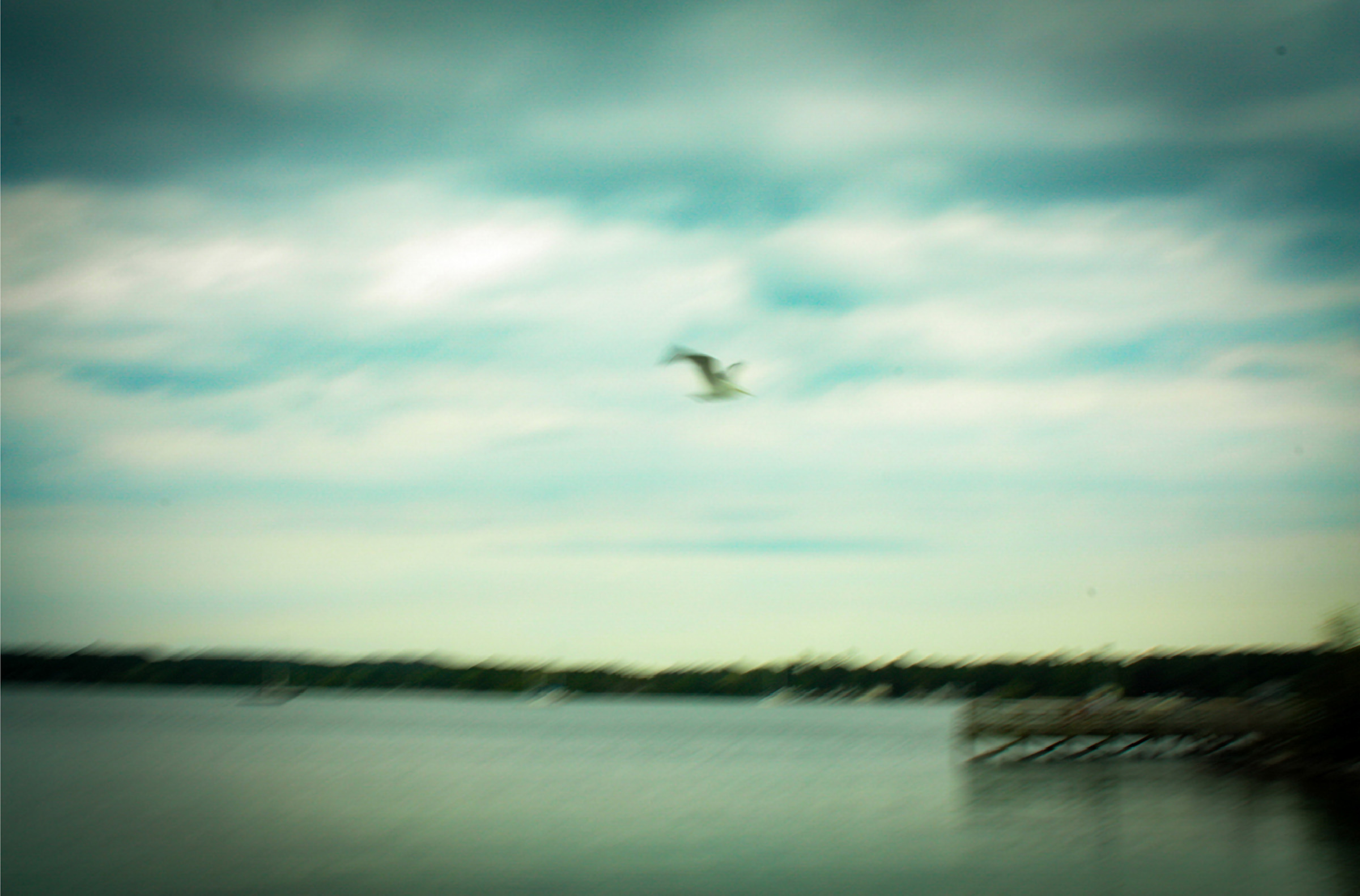 Jennifer Yaple student interpretation: a single bird soars above still grey water at Suttons Bay