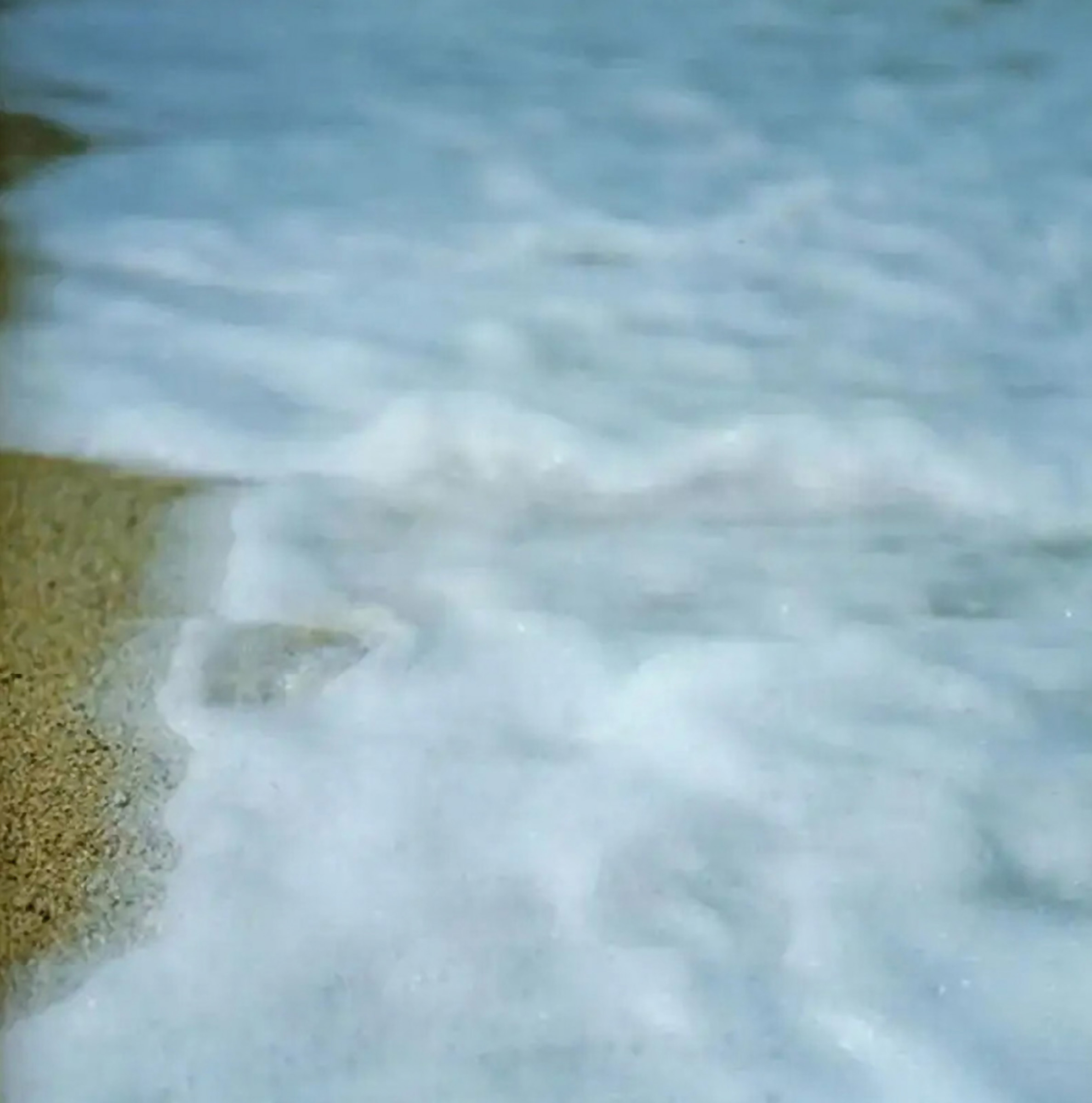 Rinko Kawauchi reference image: soft foamy tide washes over smooth wet sand