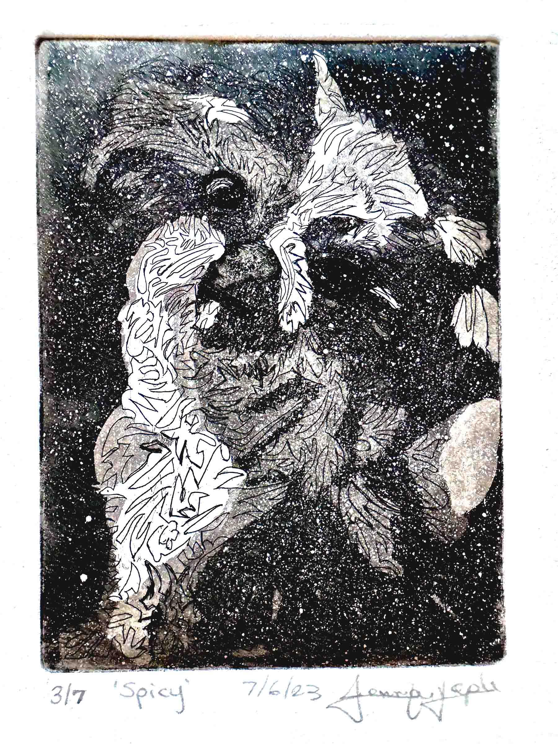 Aquatint print of Spicy using tonal areas to add depth and atmosphere to the image.