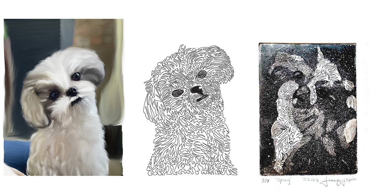 Digital painting and one-line illustration of Spicy, a small dog, translated from the original source photograph.