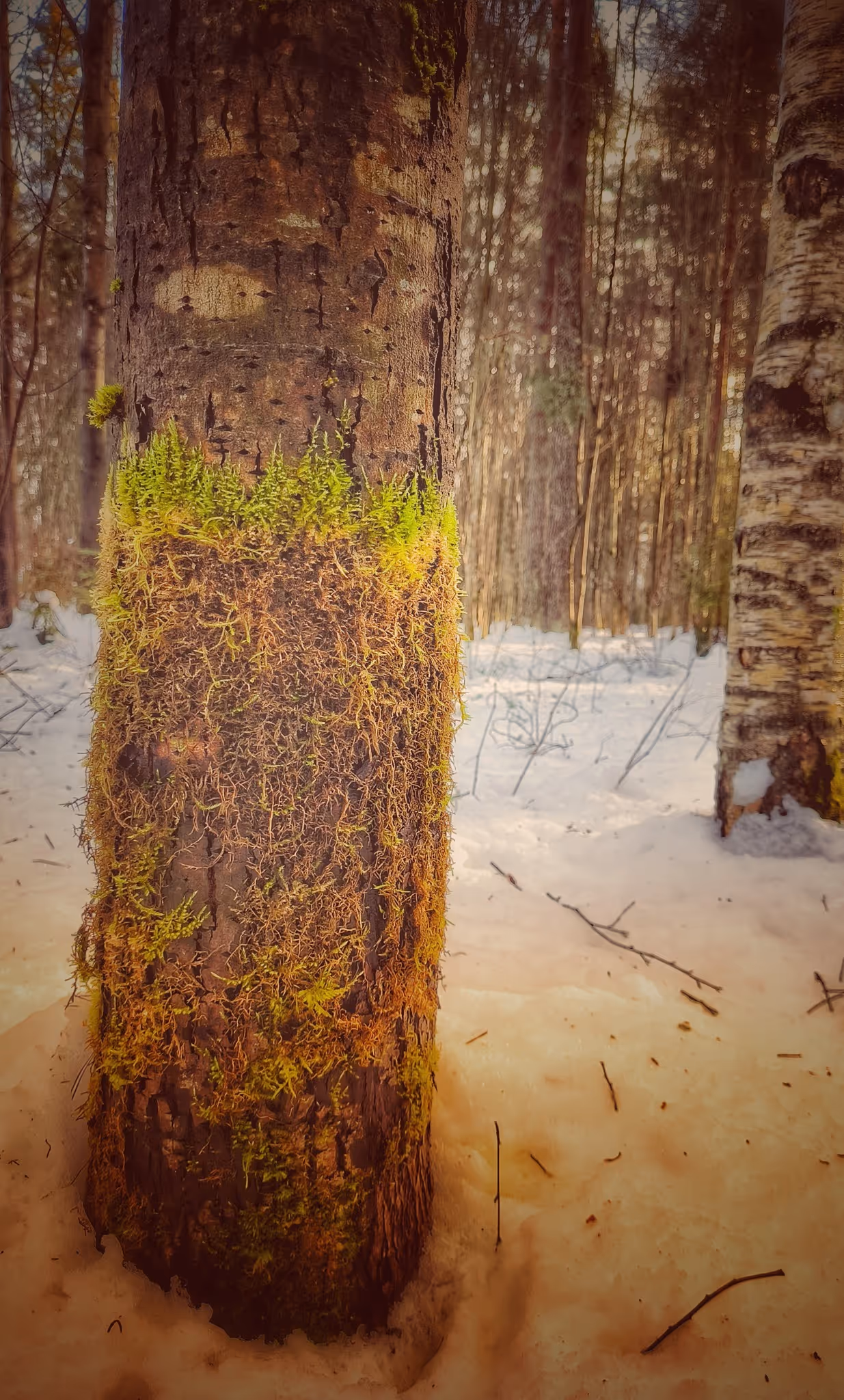 image of meditation room (for a wellness center)