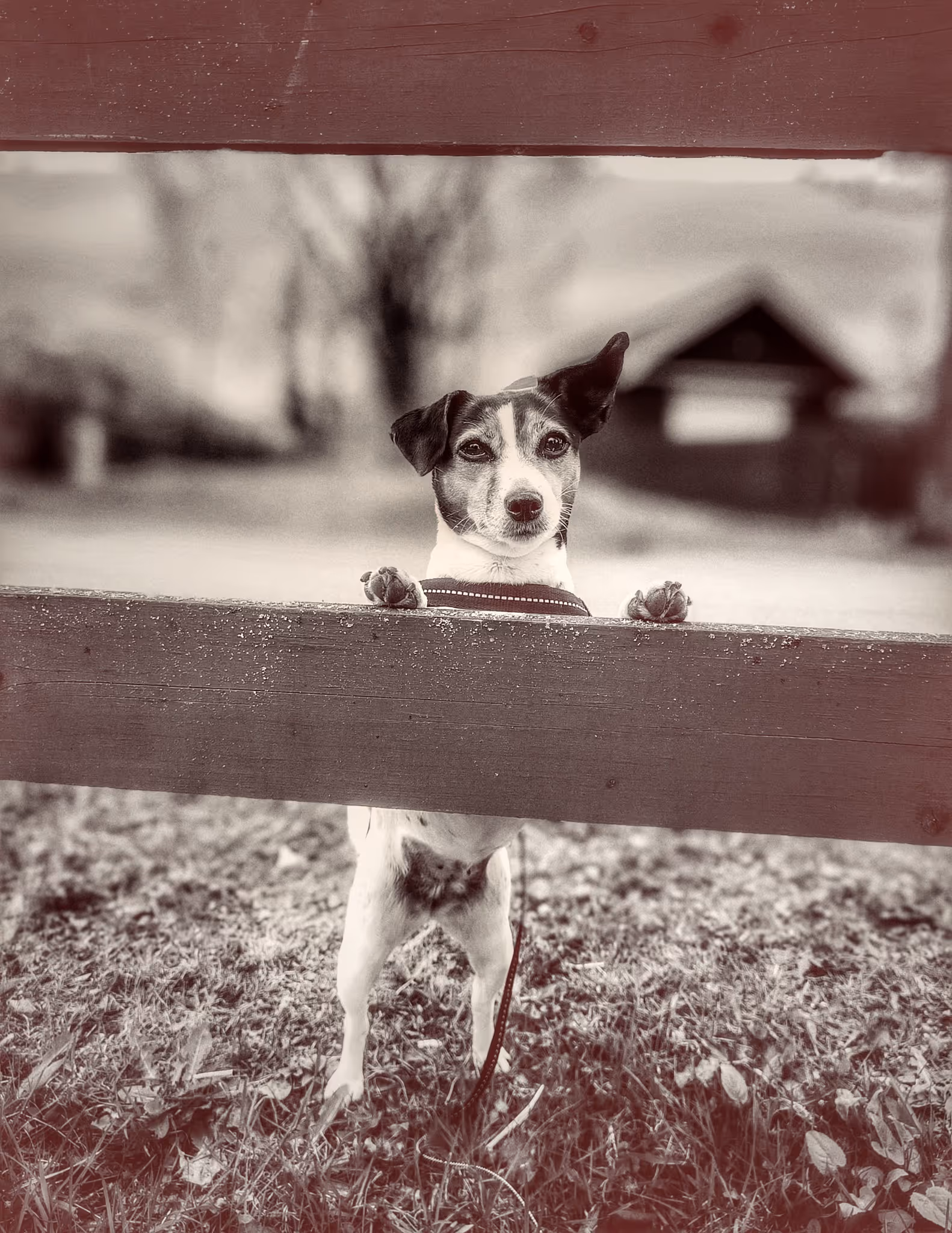 image of ceremony preparation (for a buddhist monasteries & temple)