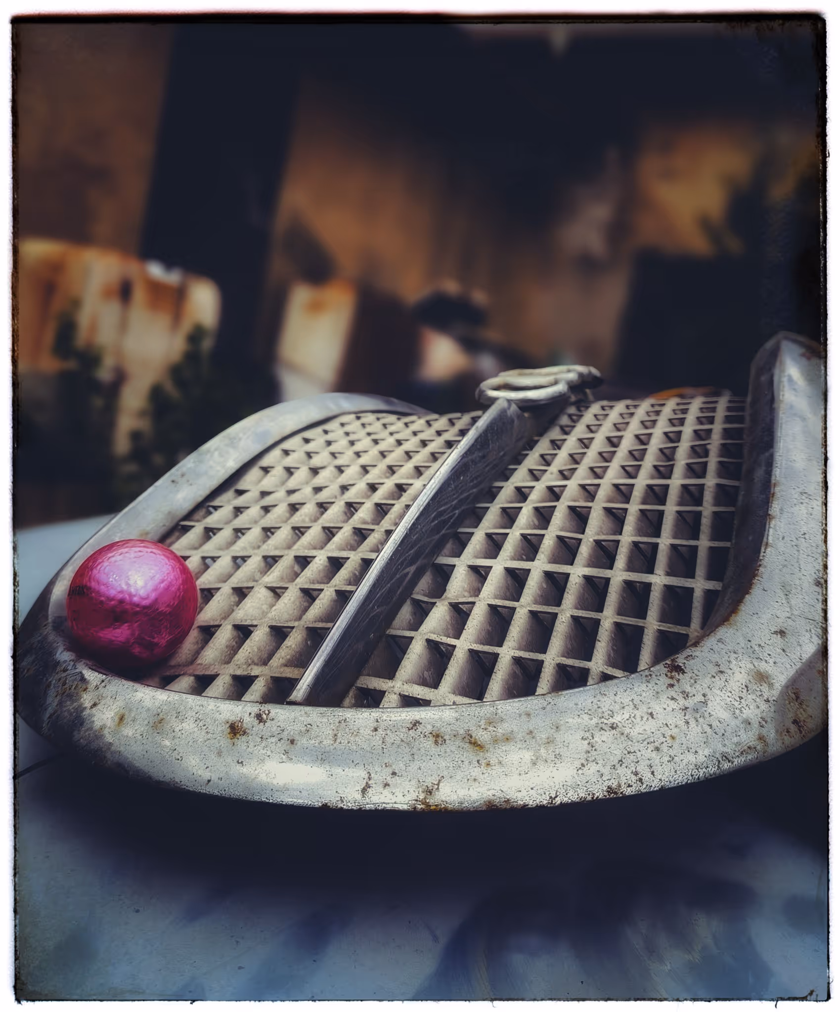 image of customer support interactions for an animal welfare nonprofit