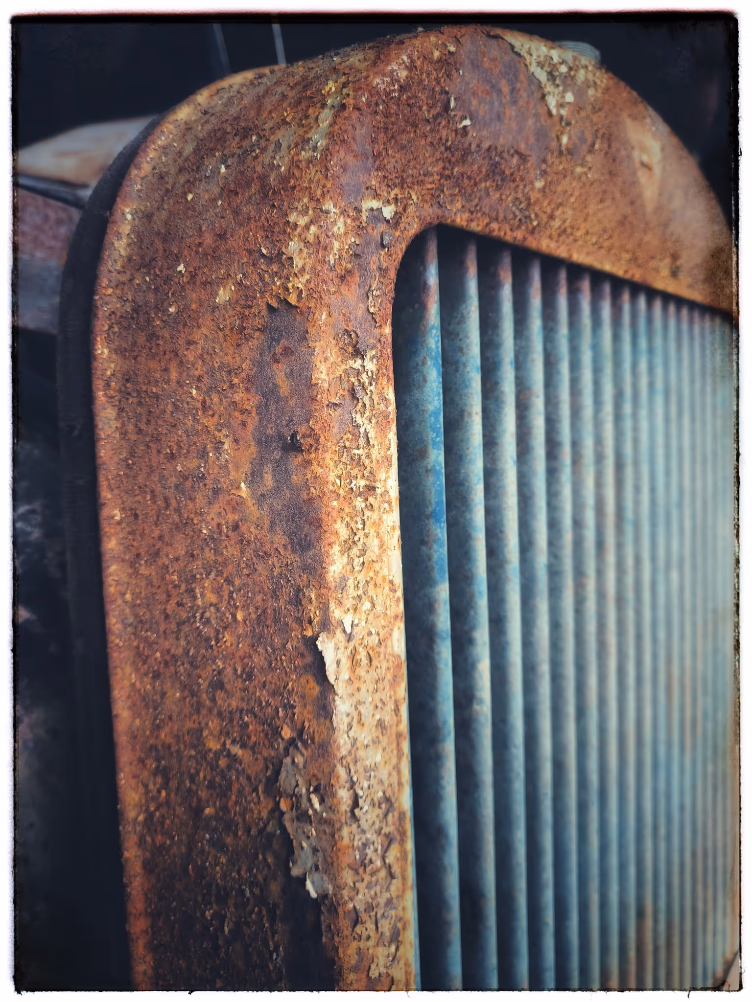 image of a casual walker in nature trails sporting athletic shoes