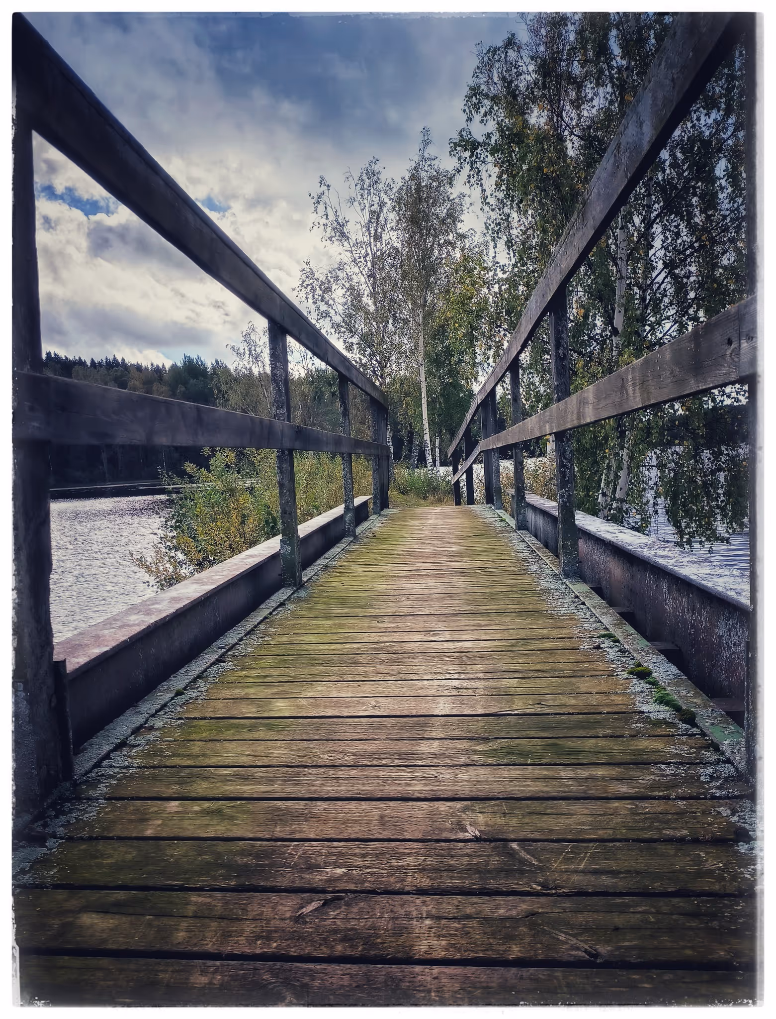 image of holistic approach illustration for a wellness center