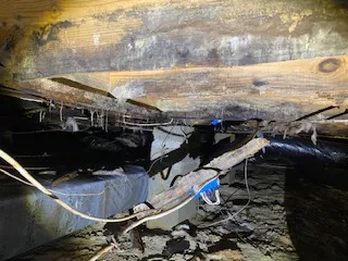 Crawl Space Repair | Justice Crawl Space and Foundation Repair