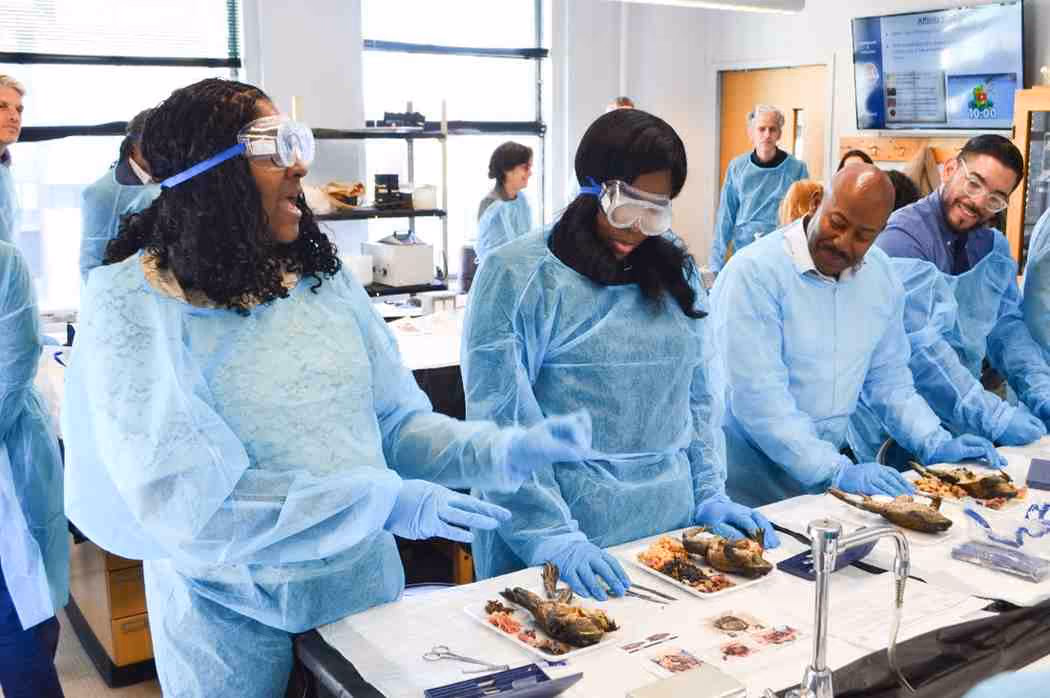 School principals in lab gear dissecting fish specimens during science activity