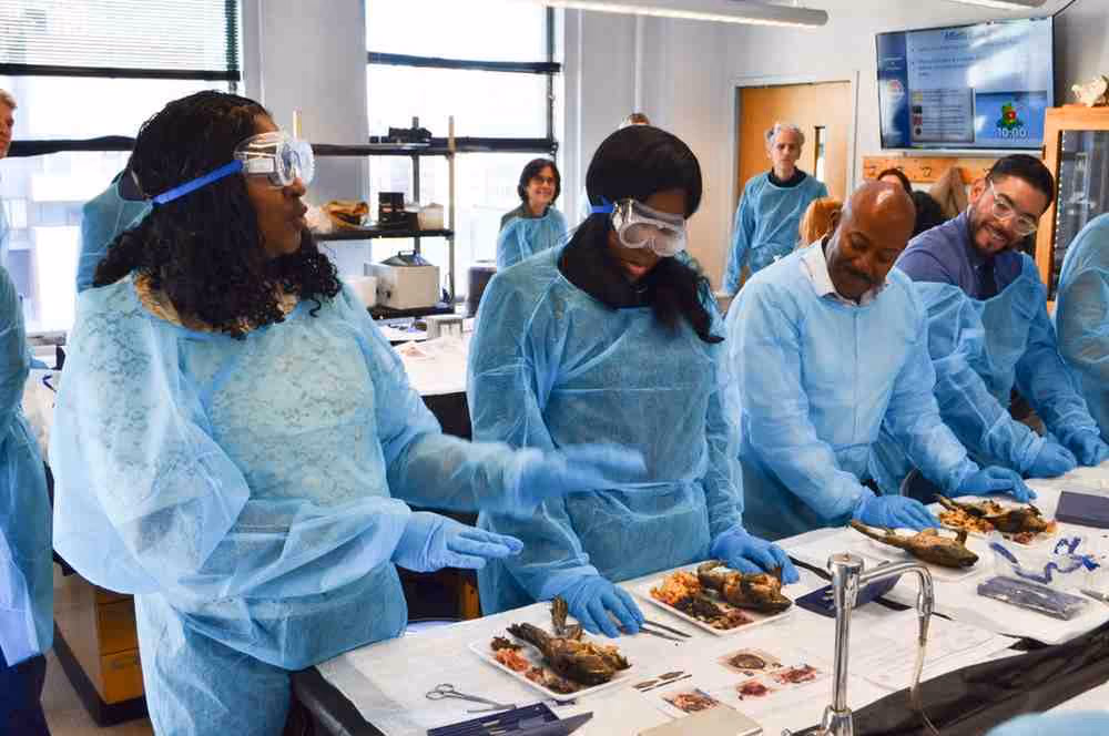 Principals in lab coats dissecting frogs during a science demonstration