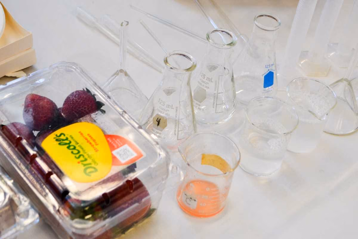 Strawberries and glass lab equipment for a science experiment