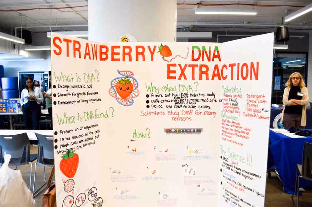 Student science fair poster on strawberry DNA extraction project