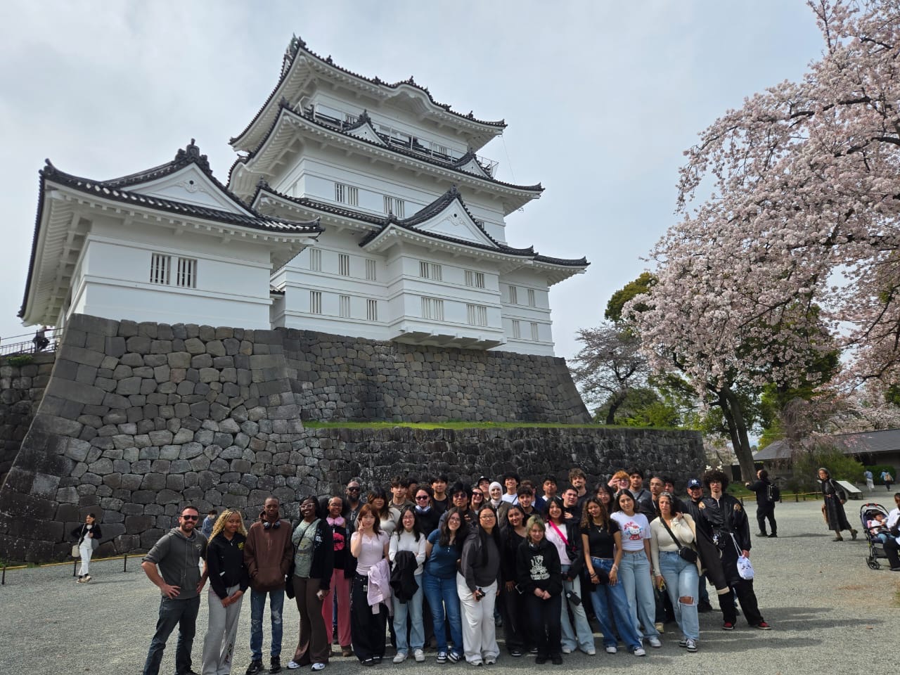 Students posing in front of Japanese castle with cherry blossoms