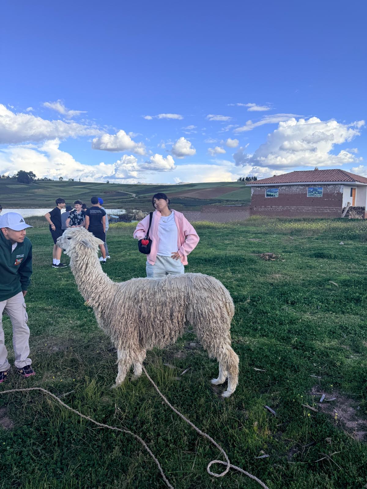 Students posing with a white alpaca on a green field