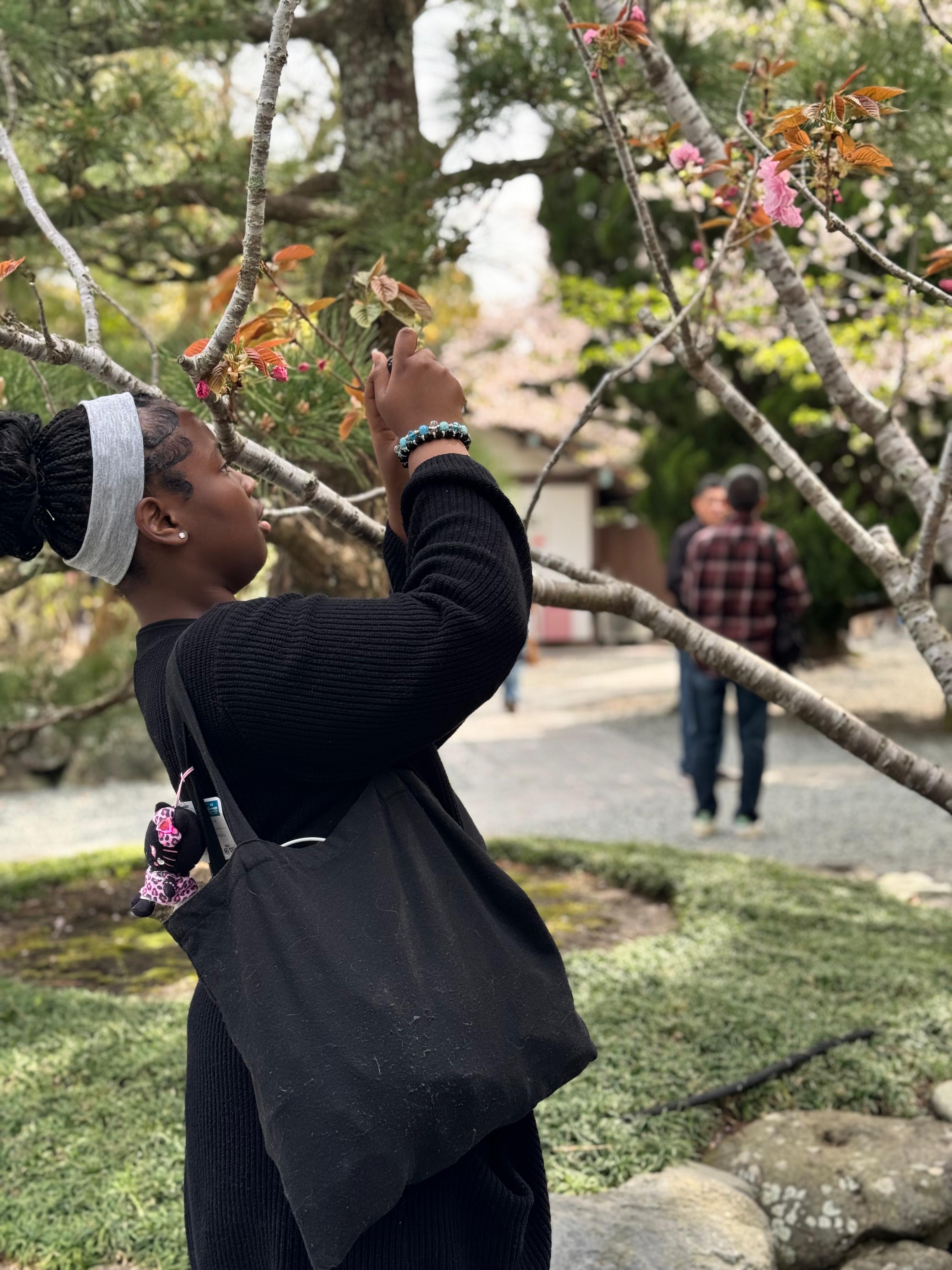 Student photographing cherry blossom branches during outdoor field trip