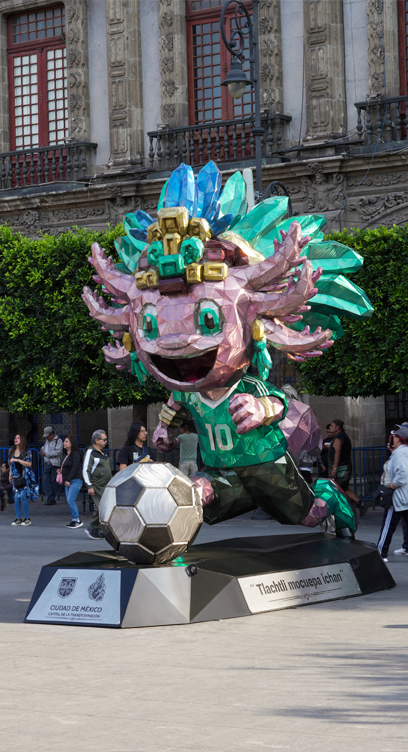 Portfolio Image