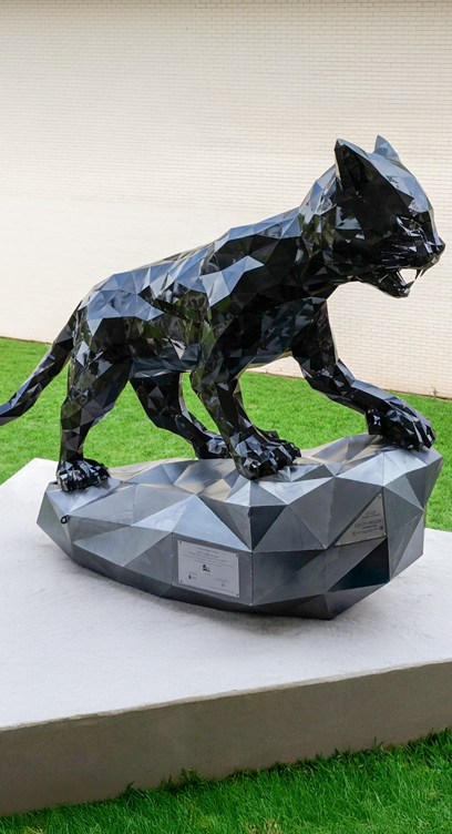 Portfolio Image