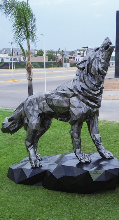 Portfolio Image