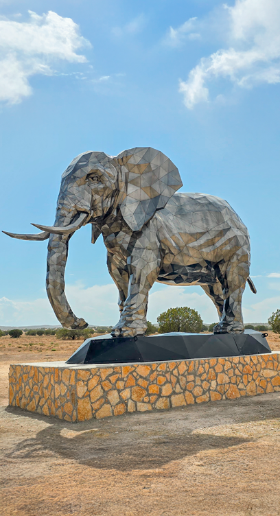 Portfolio Image