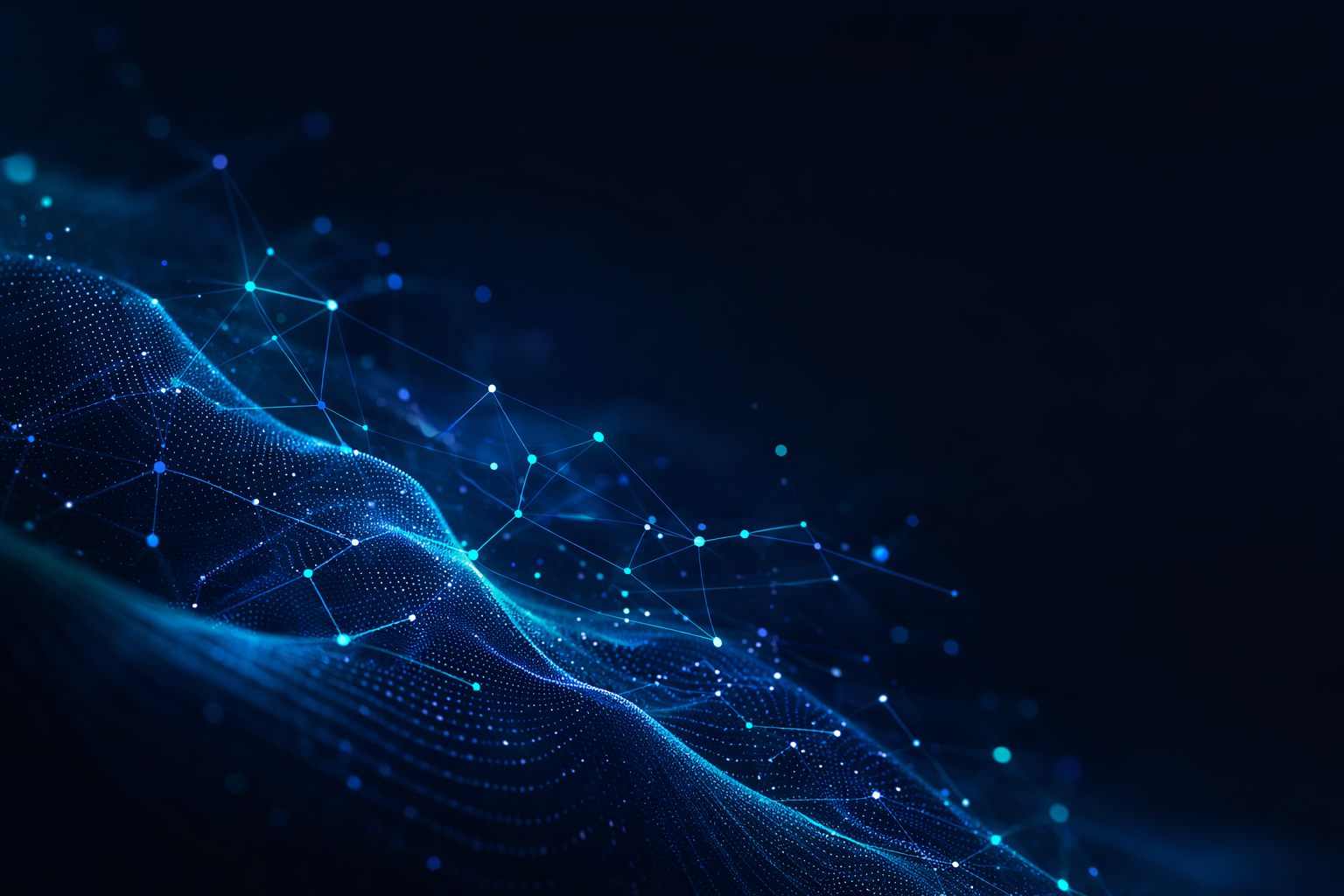 Metrics that matter the most about Bizora for our users.
