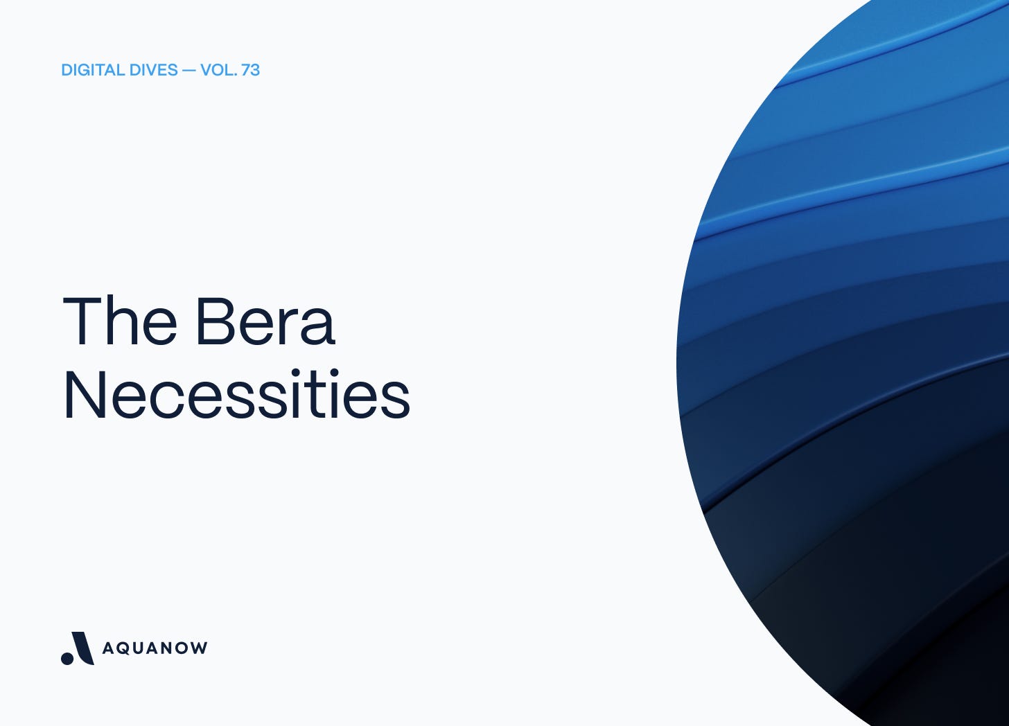 The Bera Necessities — Digital Dives  Vol. 73