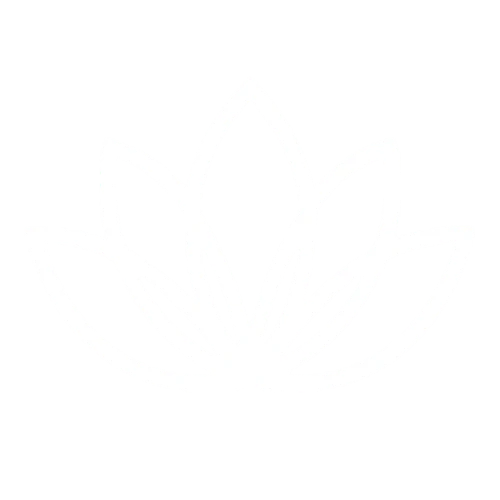 Phiaderm Beauty logo