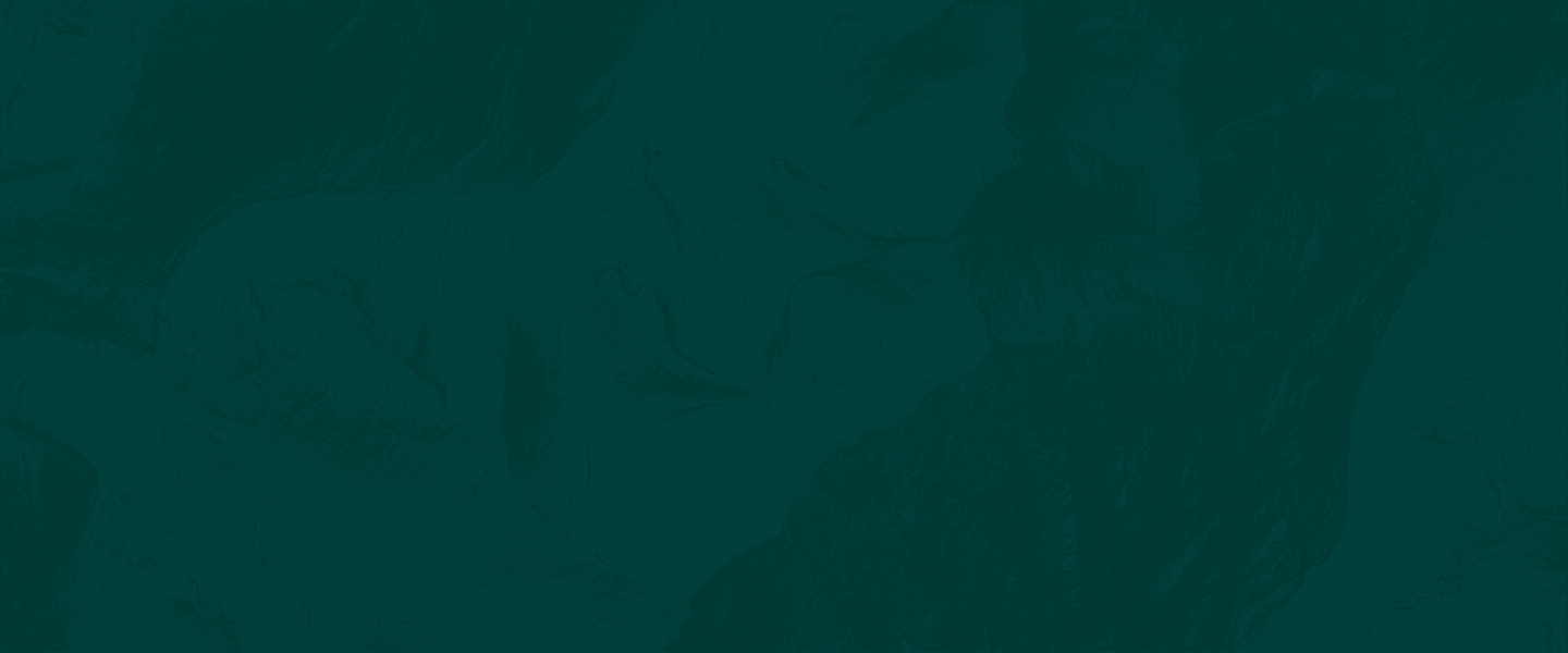 Customer review portrait photo