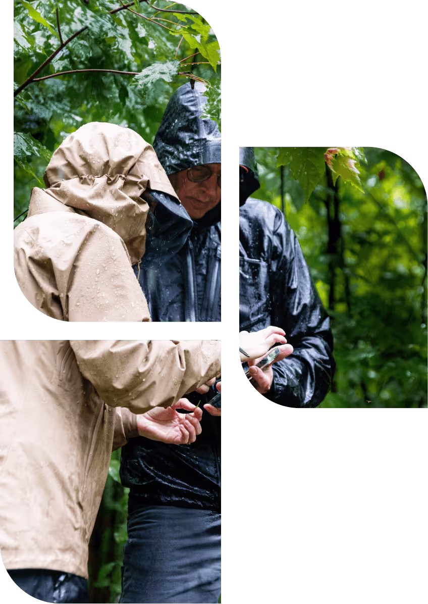 Forsite marketing hero image