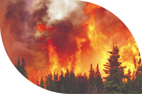 Fireview product interface screenshot