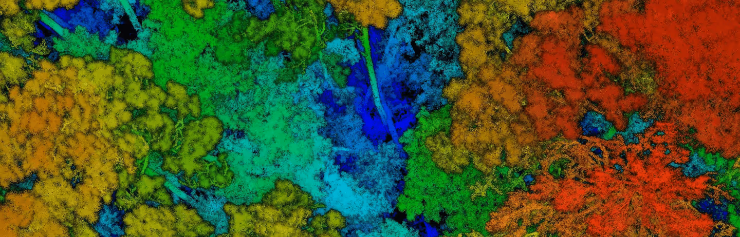 Photo or illustration used on the Forsite website