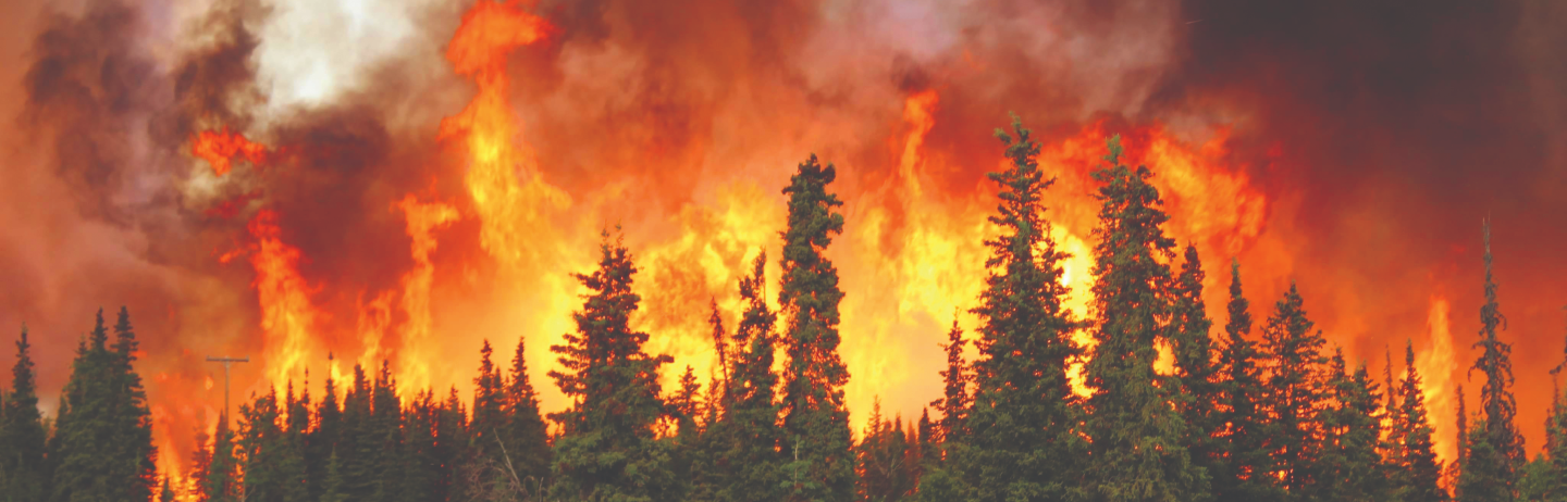 Photo or illustration used on the Forsite website