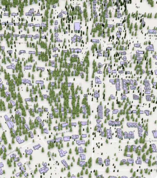 Insurance services illustration for Forsite