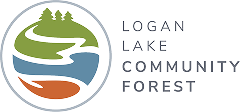 LLCF client logo colour horizontal